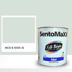Filli Boya Sentomaxx Boya NCS S 1005-G
