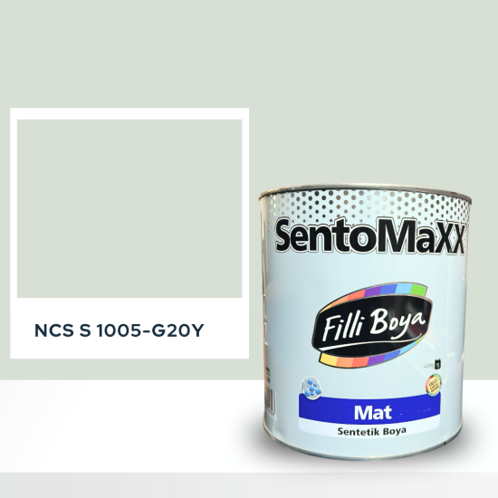 Filli Boya Sentomaxx Boya NCS S 1005-G20Y