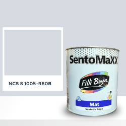 Filli Boya Sentomaxx Boya NCS S 1005-R80B