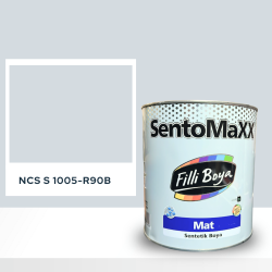 Filli Boya Sentomaxx Boya NCS S 1005-R90B