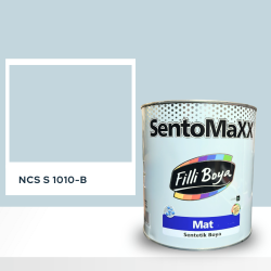 Filli Boya Sentomaxx Boya NCS S 1010-B