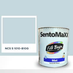 Filli Boya Sentomaxx Boya NCS S 1010-B10G