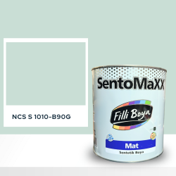 Filli Boya Sentomaxx Boya NCS S 1010-B90G