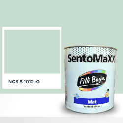 Filli Boya Sentomaxx Boya NCS S 1010-G