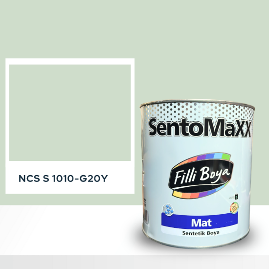 Filli Boya Sentomaxx Boya NCS S 1010-G20Y