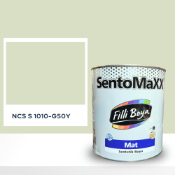 Filli Boya Sentomaxx Boya NCS S 1010-G50Y