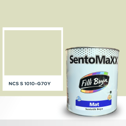 Filli Boya Sentomaxx Boya NCS S 1010-G70Y