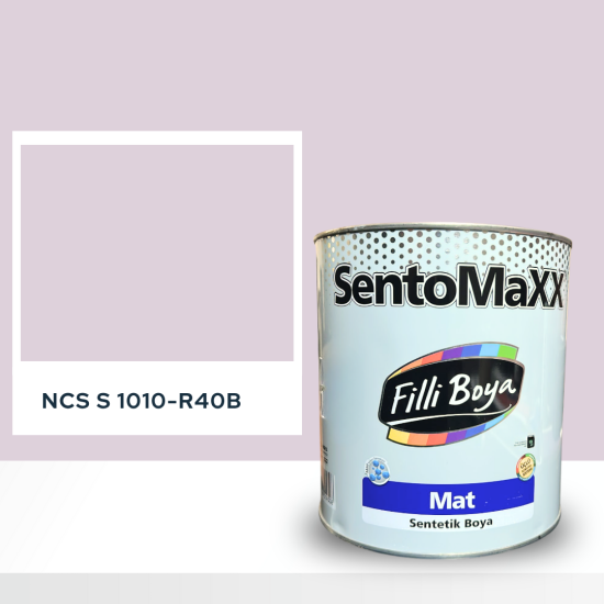 Filli Boya Sentomaxx Boya NCS S 1010-R40B