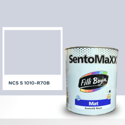 Filli Boya Sentomaxx Boya NCS S 1010-R70B