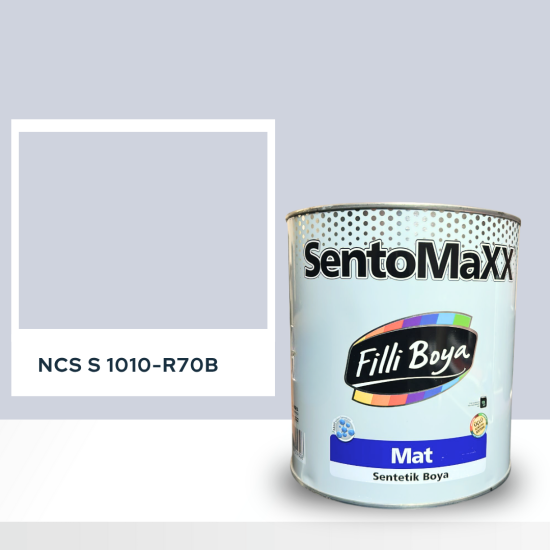 Filli Boya Sentomaxx Boya NCS S 1010-R70B