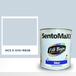 Filli Boya Sentomaxx Boya NCS S 1010-R80B