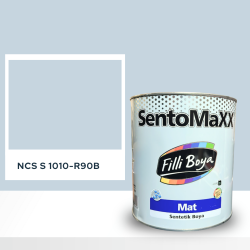 Filli Boya Sentomaxx Boya NCS S 1010-R90B