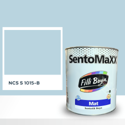 Filli Boya Sentomaxx Boya NCS S 1015-B