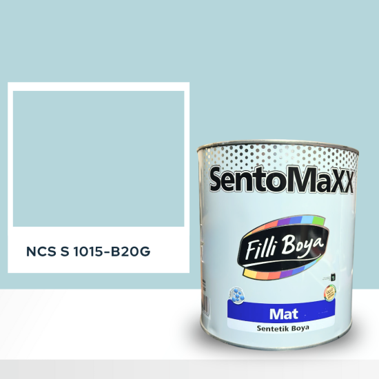 Filli Boya Sentomaxx Boya NCS S 1015-B20G