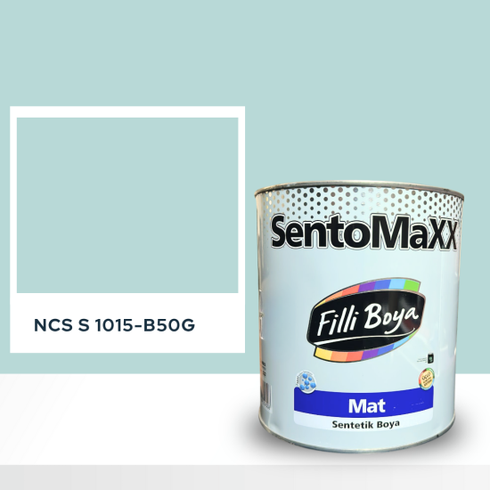 Filli Boya Sentomaxx Boya NCS S 1015-B50G
