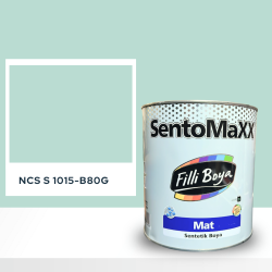Filli Boya Sentomaxx Boya NCS S 1015-B80G