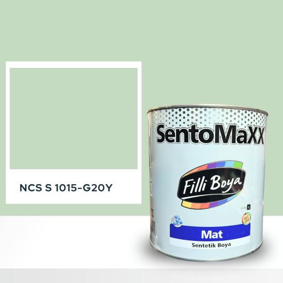 Filli Boya Sentomaxx Boya NCS S 1015-G20Y