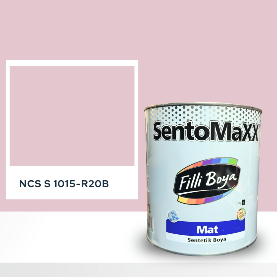 Filli Boya Sentomaxx Boya NCS S 1015-R20B