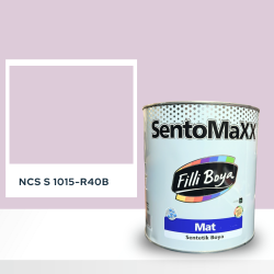 Filli Boya Sentomaxx Boya NCS S 1015-R40B