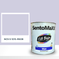 Filli Boya Sentomaxx Boya NCS S 1015-R60B