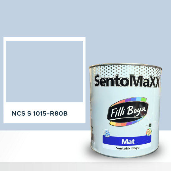 Filli Boya Sentomaxx Boya NCS S 1015-R80B