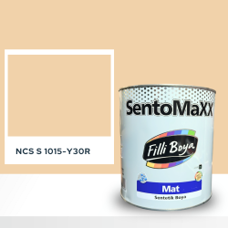 Filli Boya Sentomaxx Boya NCS S 1015-Y30R