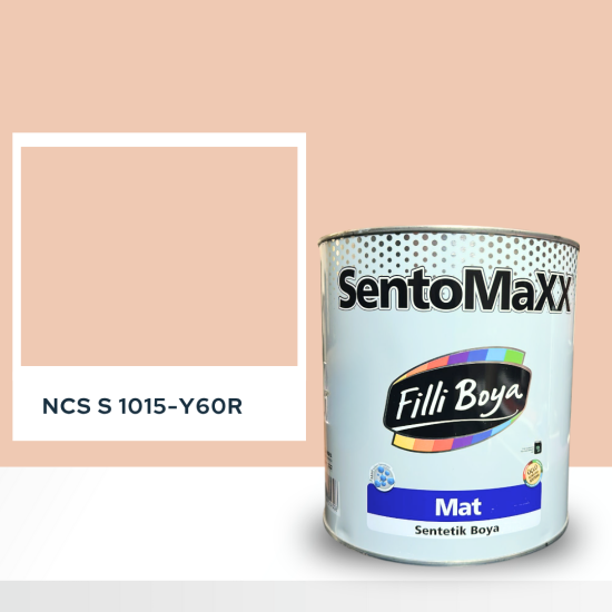 Filli Boya Sentomaxx Boya NCS S 1015-Y60R Filli Boya Sentomaxx Boya NCS S 1015-Y60R