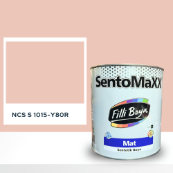 Filli Boya Sentomaxx Boya NCS S 1015-Y80R