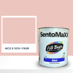 Filli Boya Sentomaxx Boya NCS S 1015-Y90R