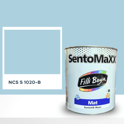 Filli Boya Sentomaxx Boya NCS S 1020-B