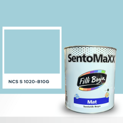 Filli Boya Sentomaxx Boya NCS S 1020-B10G