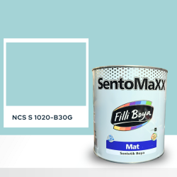 Filli Boya Sentomaxx Boya NCS S 1020-B30G