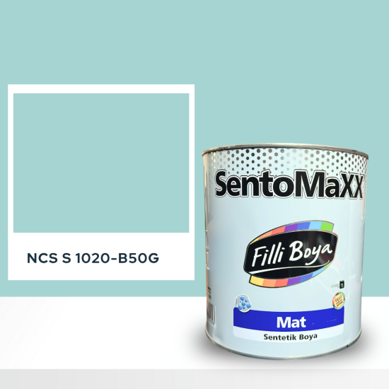 Filli Boya Sentomaxx Boya NCS S 1020-B50G