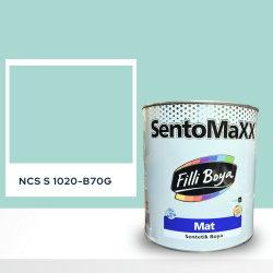 Filli Boya Sentomaxx Boya NCS S 1020-B70G