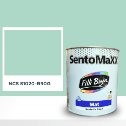Filli Boya Sentomaxx Boya NCS S 1020-B90G