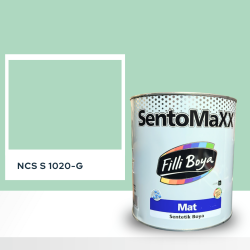 Filli Boya Sentomaxx Boya NCS S 1020-G
