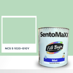 Filli Boya Sentomaxx Boya NCS S 1020-G10Y