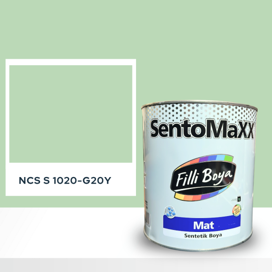 Filli Boya Sentomaxx Boya NCS S 1020-G20Y