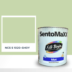 Filli Boya Sentomaxx Boya NCS S 1020-G40Y