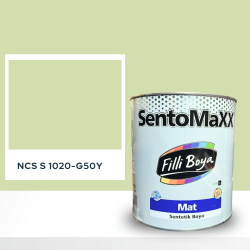 Filli Boya Sentomaxx Boya NCS S 1020-G50Y