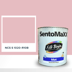 Filli Boya Sentomaxx Boya NCS S 1020-R10B