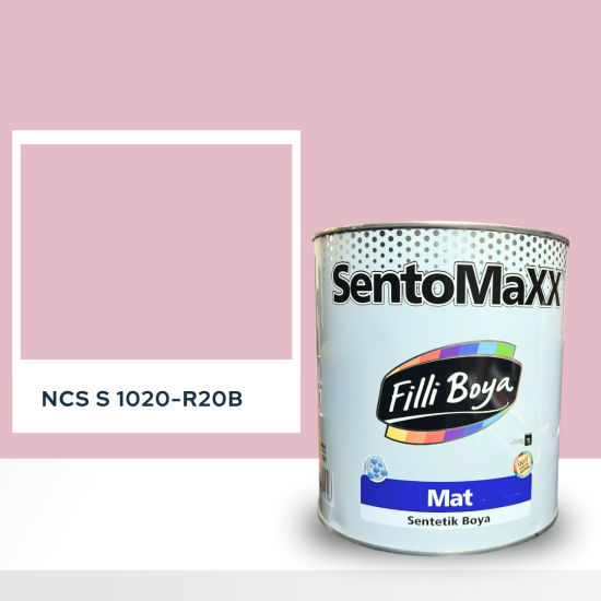 Filli Boya Sentomaxx Boya NCS S 1020-R20B