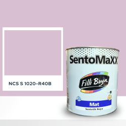 Filli Boya Sentomaxx Boya NCS S 1020-R40B