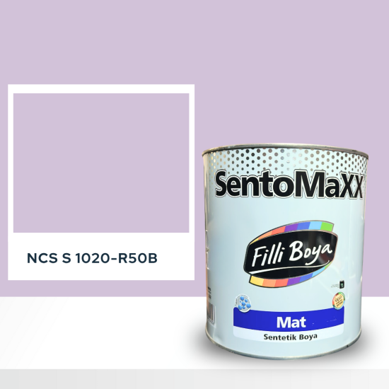 Filli Boya Sentomaxx Boya NCS S 1020-R50B