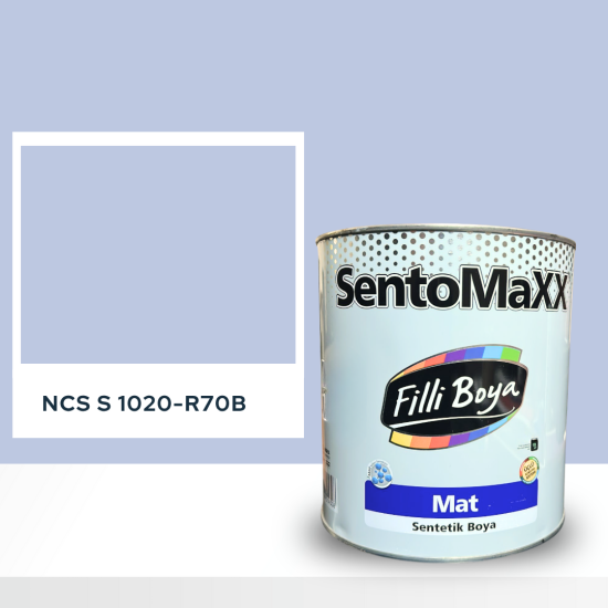Filli Boya Sentomaxx Boya NCS S 1020-R70B