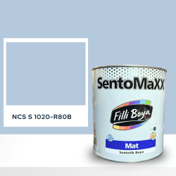 Filli Boya Sentomaxx Boya NCS S 1020-R80B
