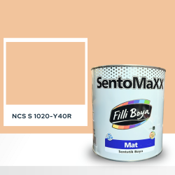 Filli Boya Sentomaxx Boya NCS S 1020-Y40R