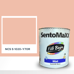 Filli Boya Sentomaxx Boya NCS S 1020-Y70R