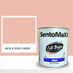 Filli Boya Sentomaxx Boya NCS S 1020-Y80R