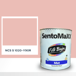 Filli Boya Sentomaxx Boya NCS S 1020-Y90R